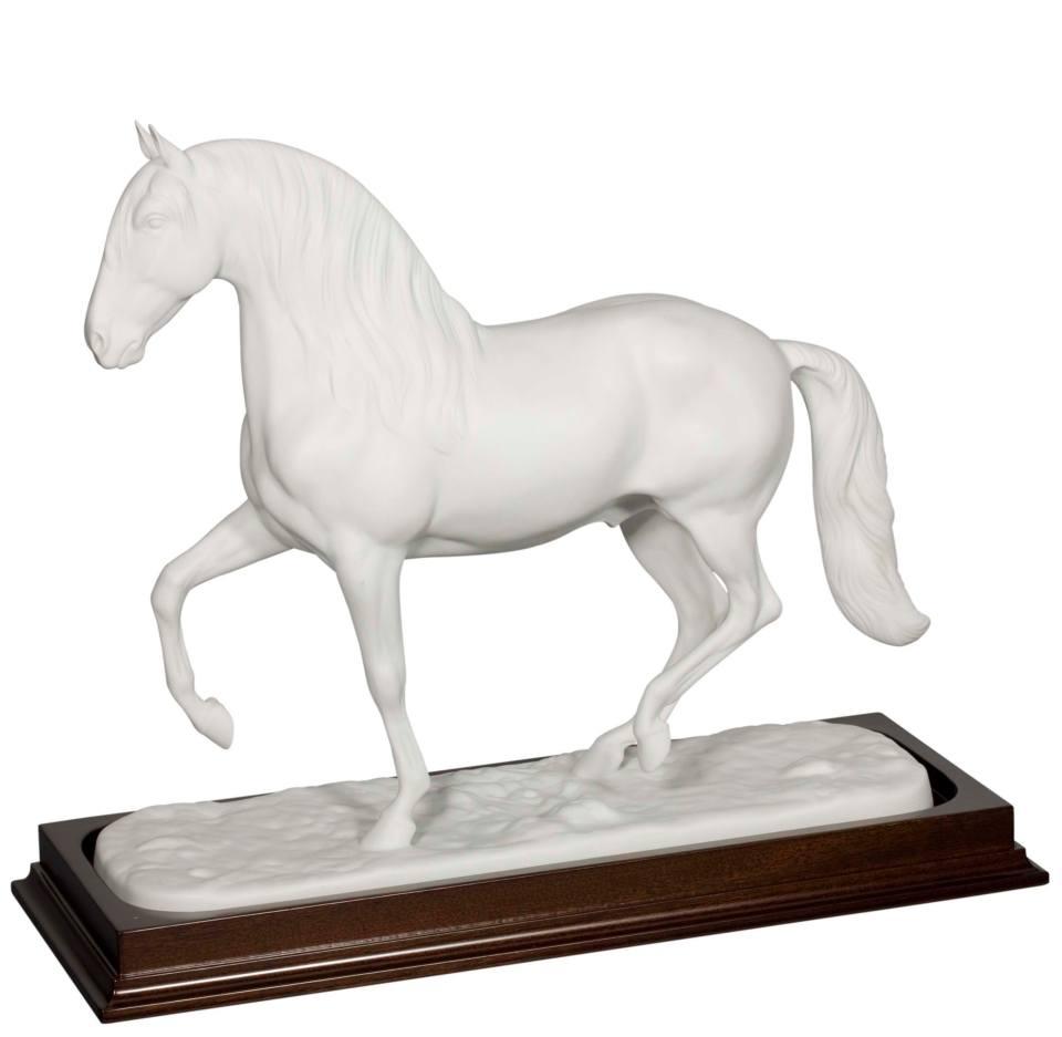 Lusitano Horse