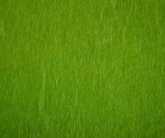 Bistro Green - Set of 12