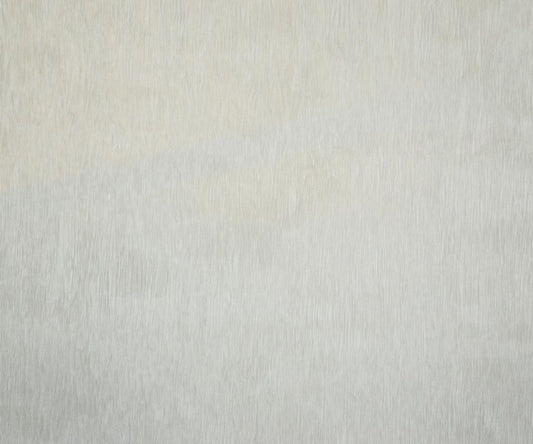 Ivory - Set of 12