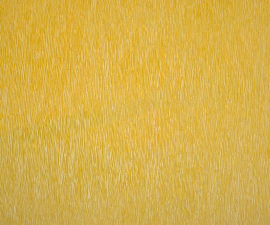 Marigold - Set of 12