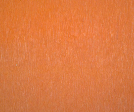 Tangerine - Set of 12