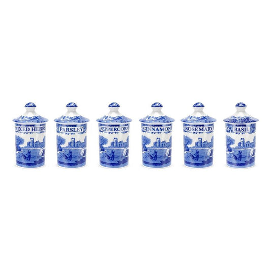 Set of 6 Spice Jars