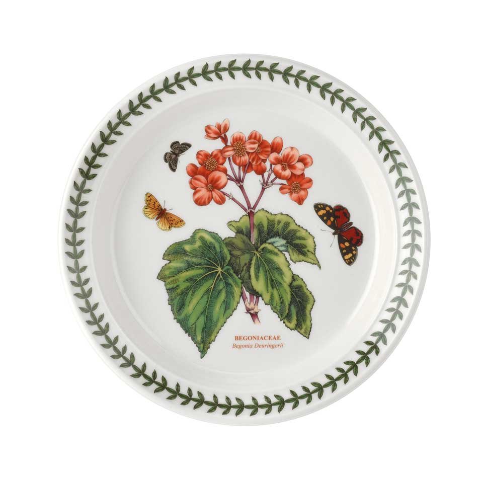 Salad Plate (Begonia Deuringerii)