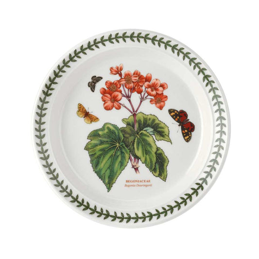 Salad Plate (Begonia Deuringerii)