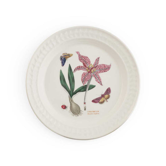 Dinner Plate