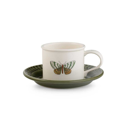Teacup And Saucer