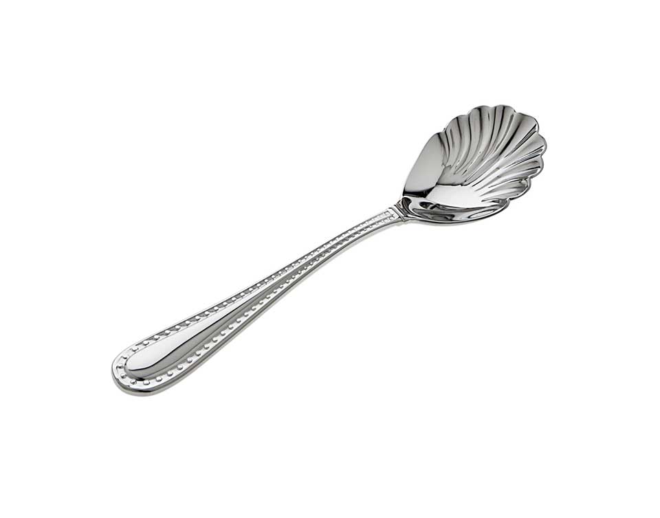 Polished Sugar Spoon