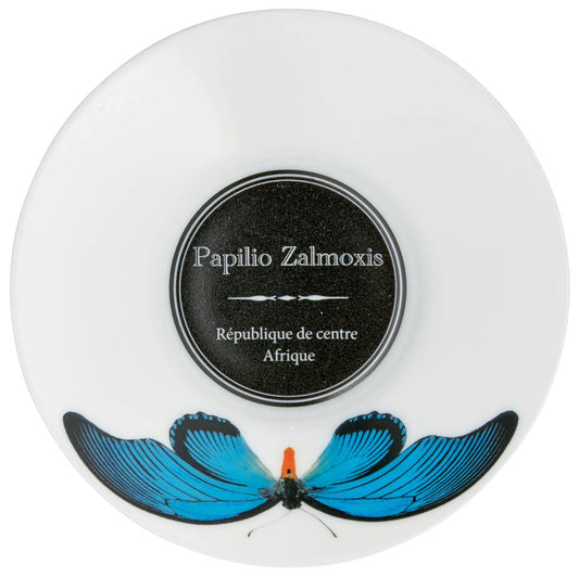 DISCONTINUED-Coffee Saucer in Turquoise Butterfly (DISCO. While Supplies Last)