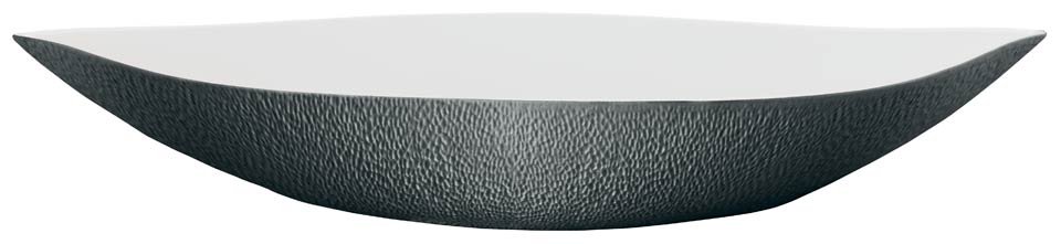 Dish N1