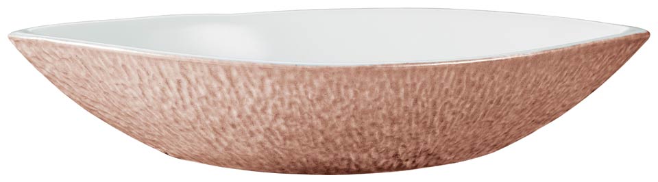 Dish N4