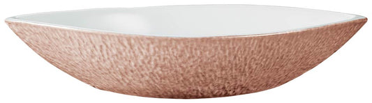 Dish N4
