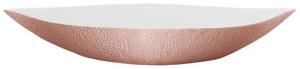 Dish N1