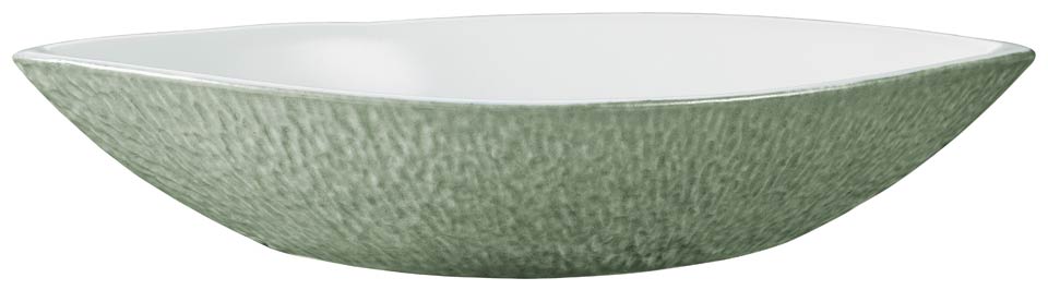 Dish N4