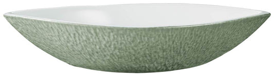 Dish N4