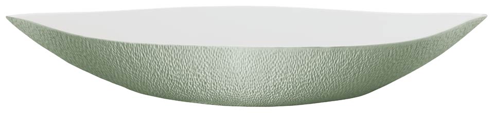 Dish N1