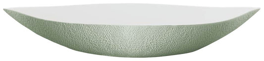 Dish N1