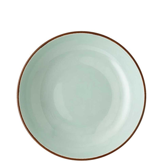 Gourmet Plate/Serving Bowl Shallow 10 5/8