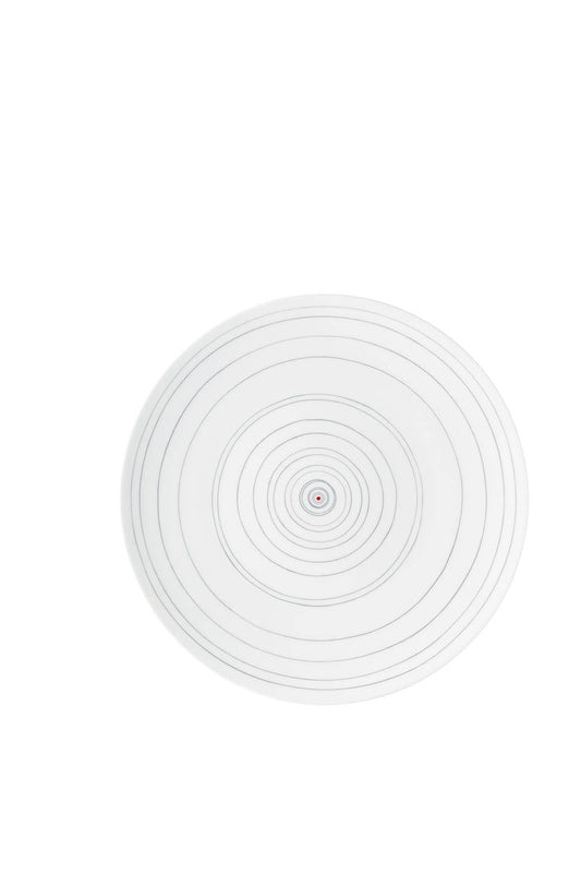 Multicolor Dinner Plate 11 1/2 in
