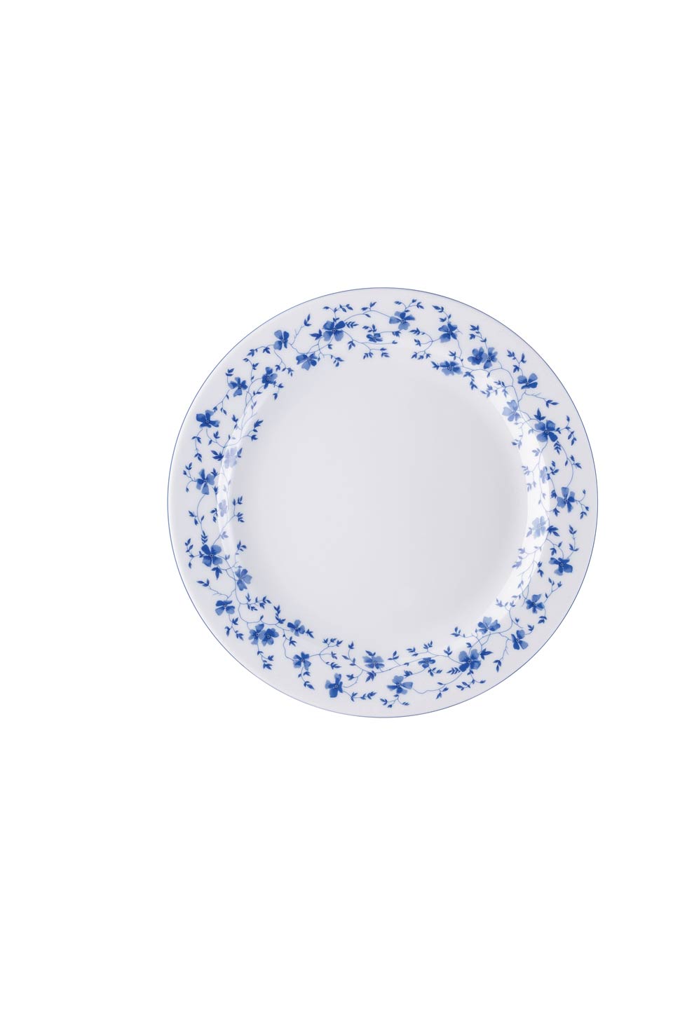 Dinner Plate 9 3/4 in