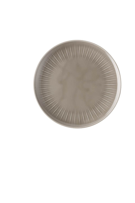 Luncheon Plate 9 1/2 in