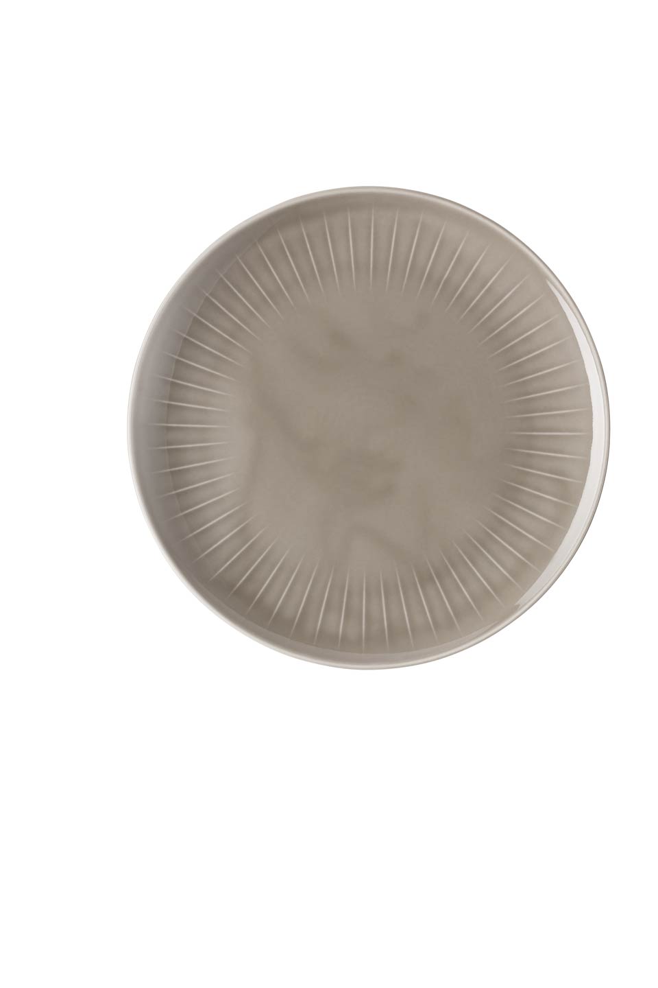 Dinner Plate 10 1/2 in