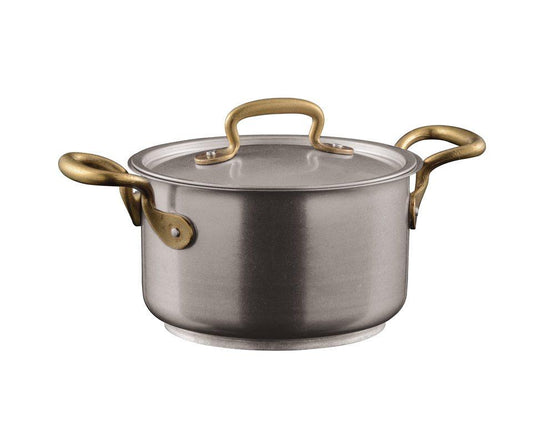 Saucepan with Lid, 2 Handles