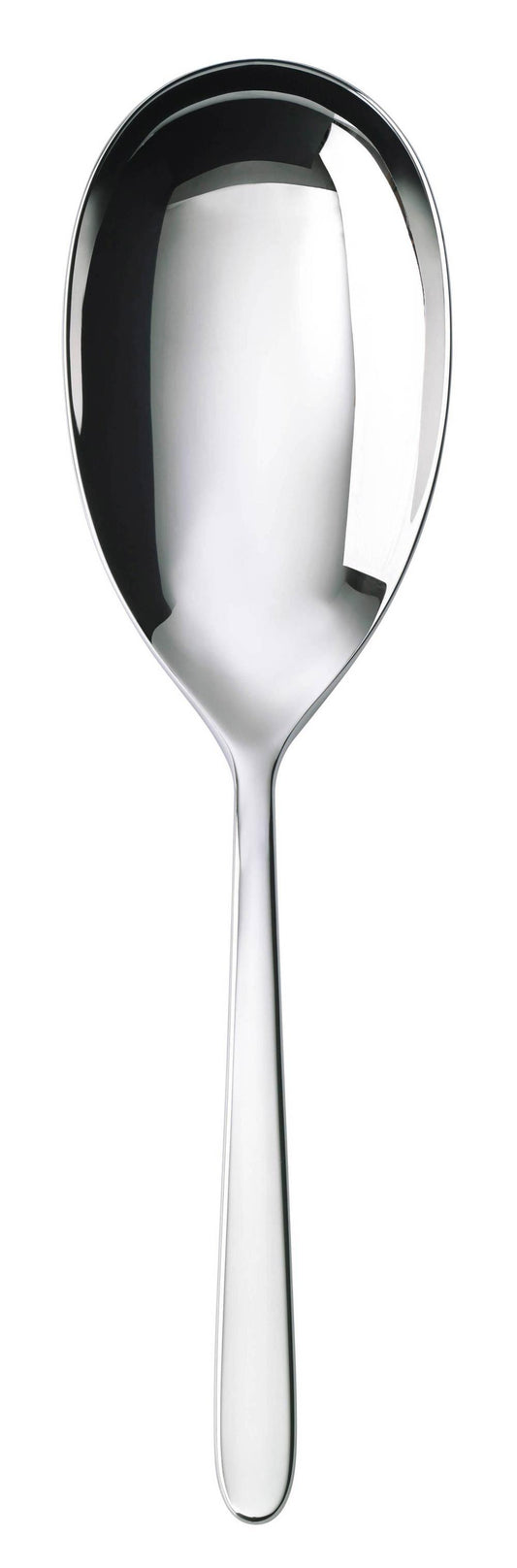 Rice Spoon