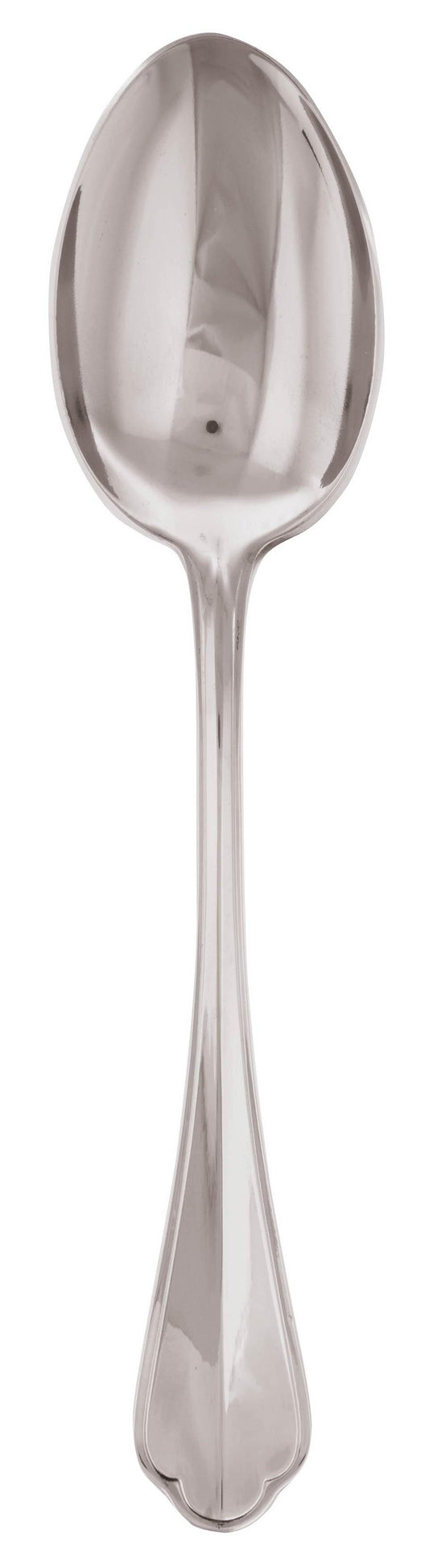 Serving Spoon