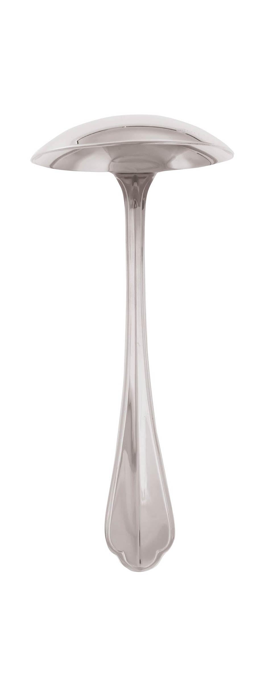 Sauce Ladle