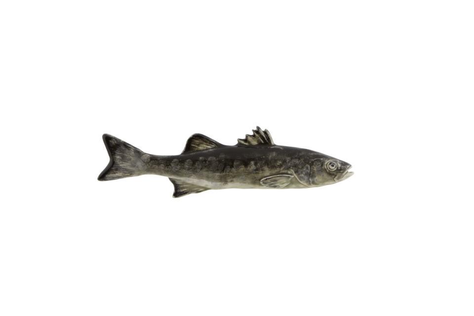 Sea Bass