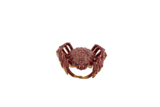 Spider Crab