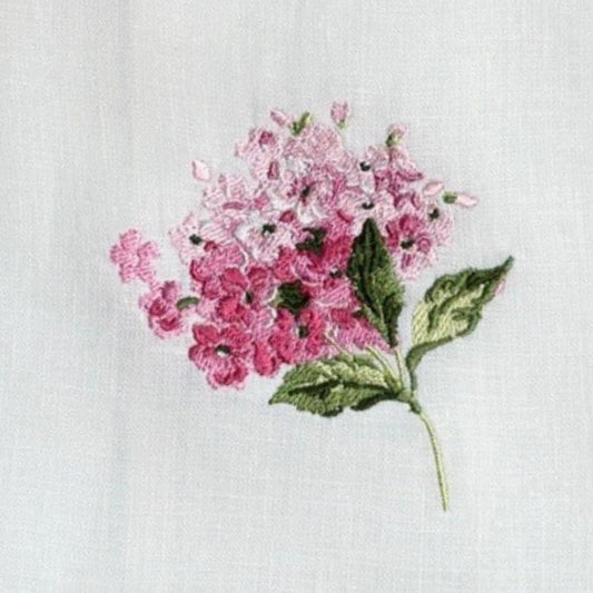 Hydrangea, White (Pink)
