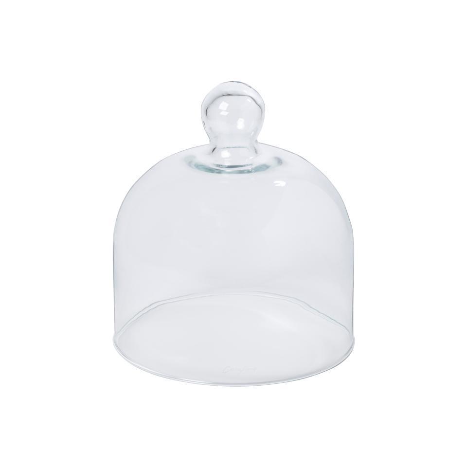 Glass Dome 7"