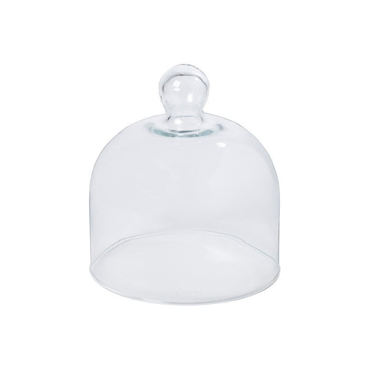 Glass Dome 7"