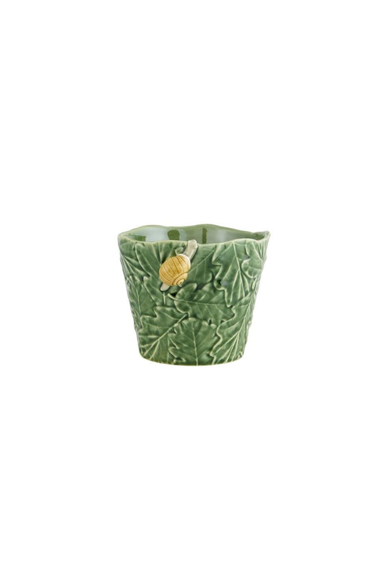 Vase With Snail