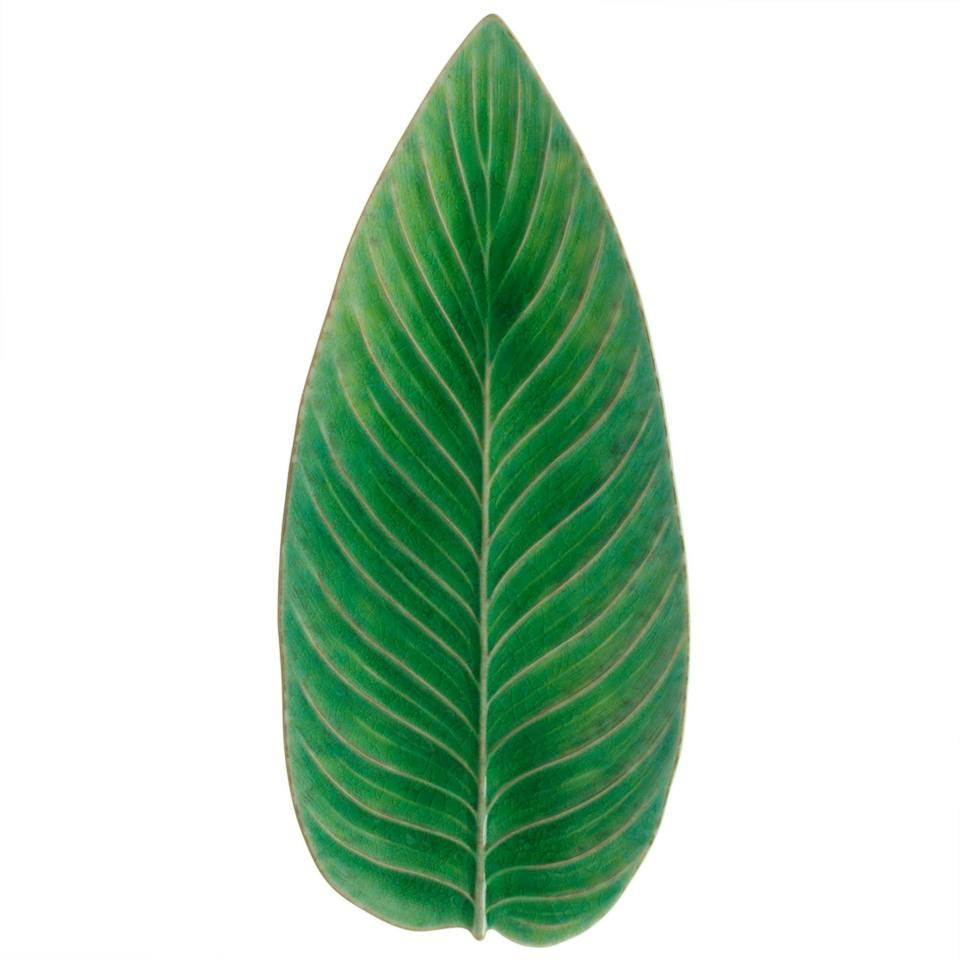 Strelizia Leaf 16", Tomate