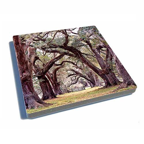 Coaster-Oak Alley-Color