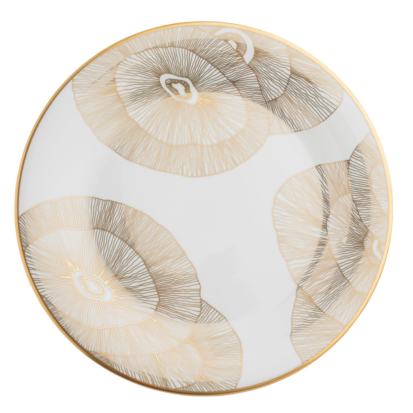 Dinner Plate