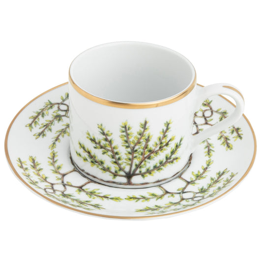 Teacup Saucer