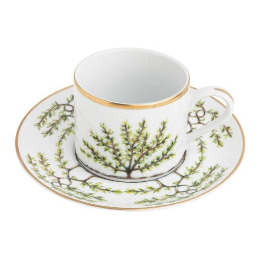 Teacup