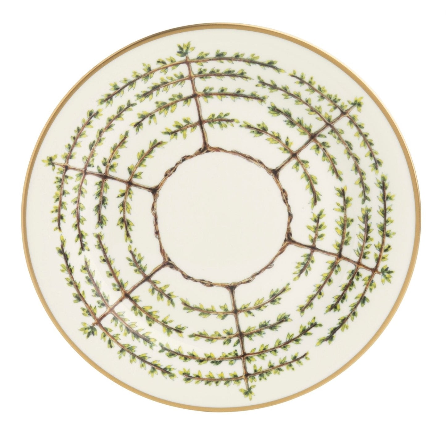 Dinner Plate