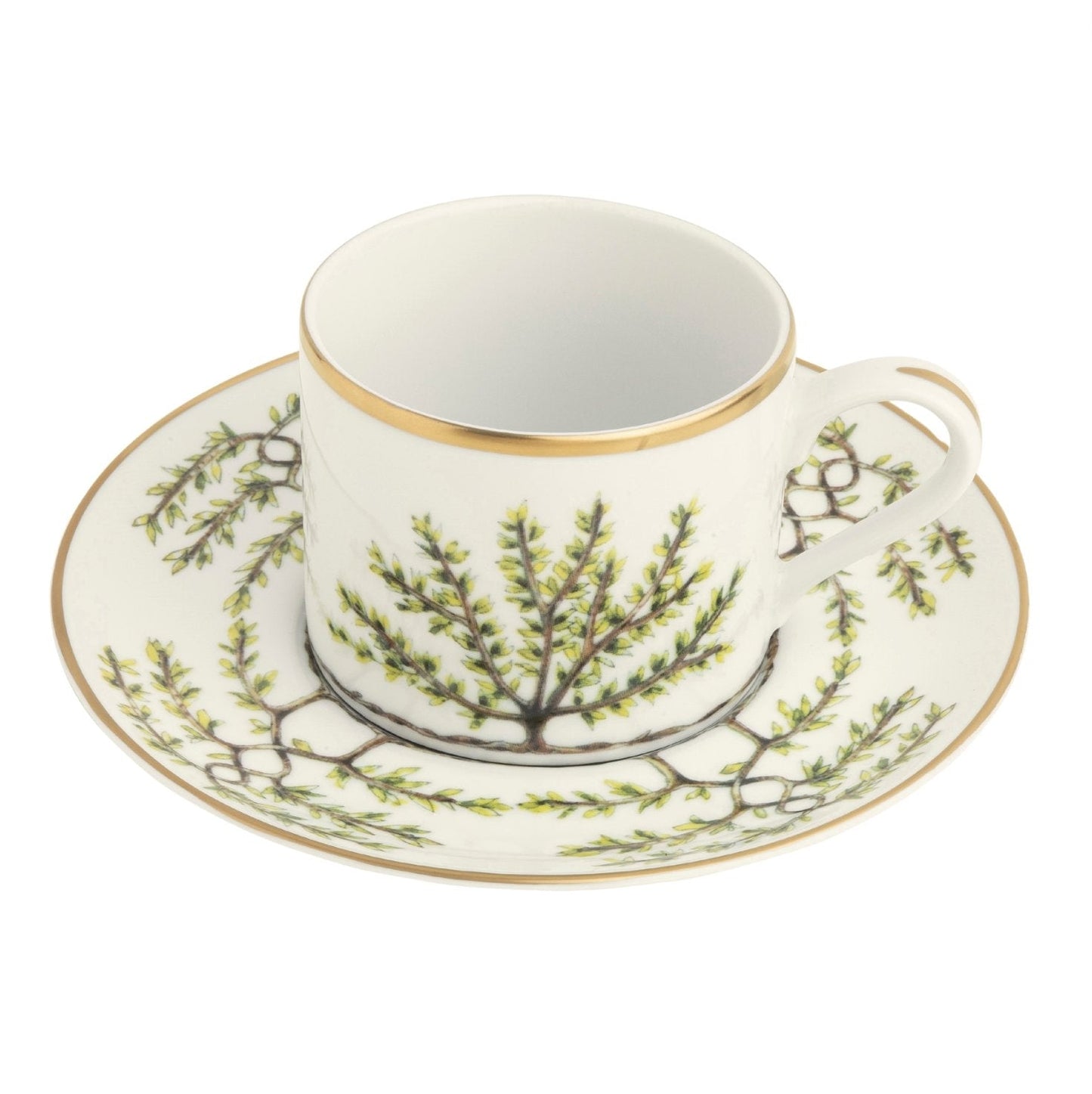 Teacup Saucer