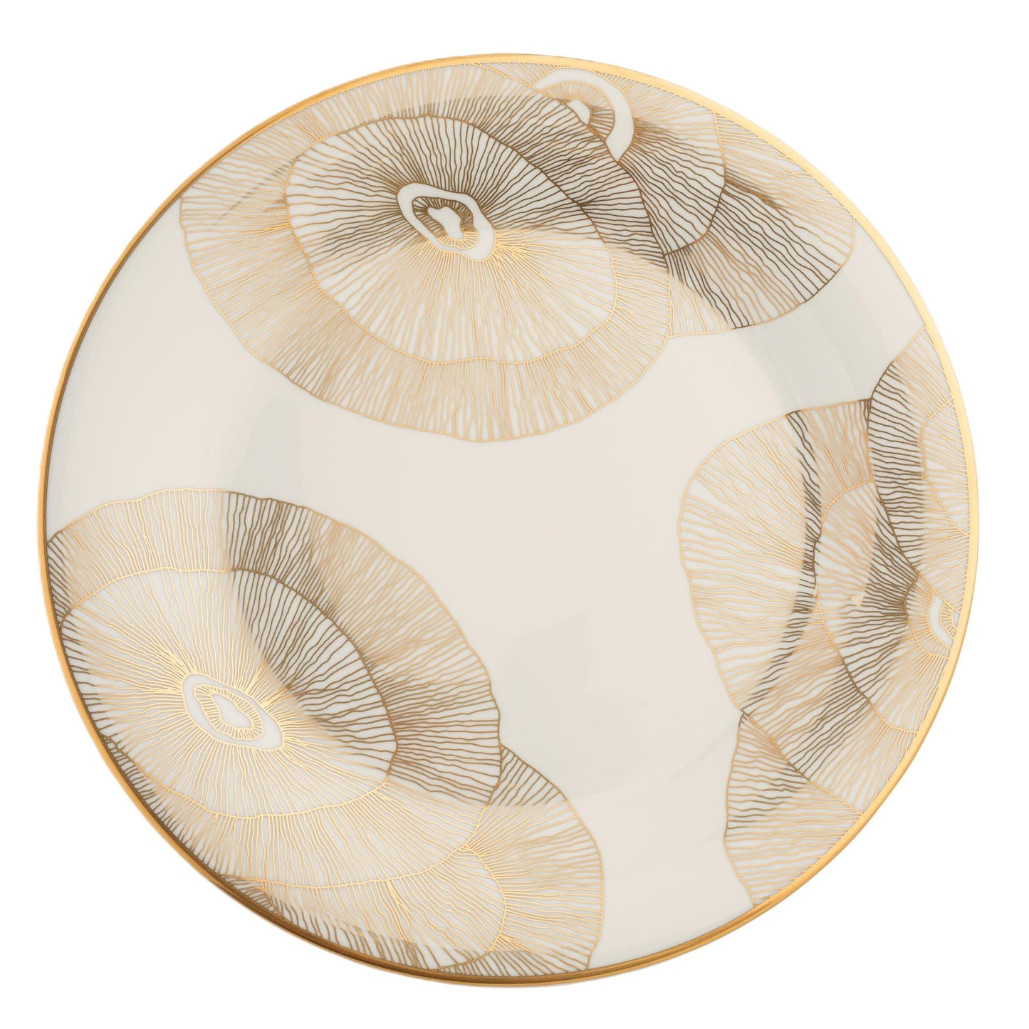 Dinner Plate